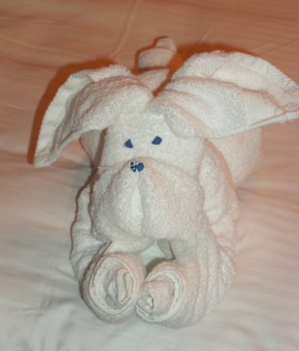 TowelAnimal1.jpg 94.3 KB